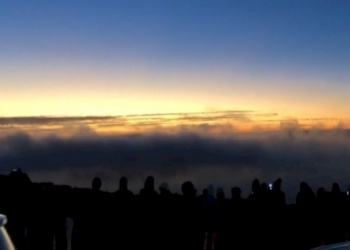 รถกระบะเสียหลักหลุดโค้งชนต้นไม้-เสียชีวิต-2-คน-จ.พัทลุง-–-ช่อง-7