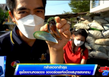 คอลัมน์หมายเลข-7-:-เตรียมปิดคดีเผาถ้ำรังนก-จ.พัทลุง-–-ช่อง-7