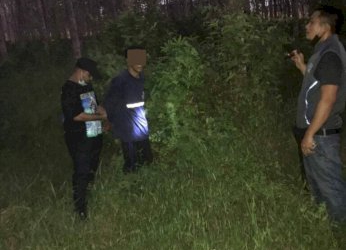 จับแล้วโจรลักวัวที่พัทลุง-หนีกบดานเมืองคอน-กองปราบตามรวบทิ้งรถหนีก่อนจนมุม-–-มติชน